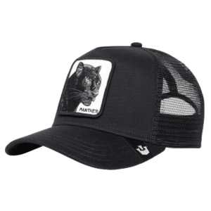 Goorin Bros Black Panther Cub KIDS Cap