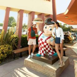 compacte tas mini crossbody anti-diefstal Travelon Metro veilige tas reizen kleine crossbody tas