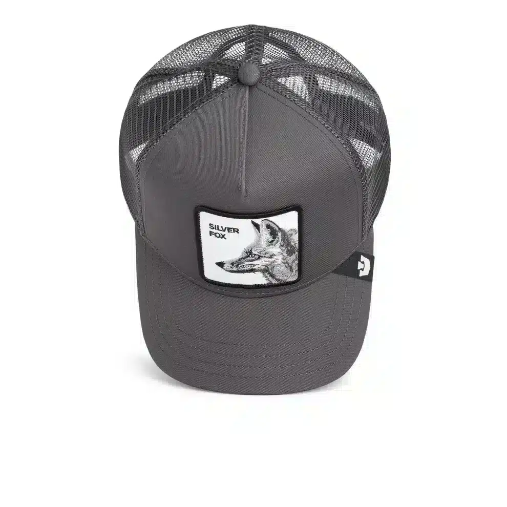 s a o r i n✩.*˚ Goorin Bros – Silver Foxxx Cap – House 44