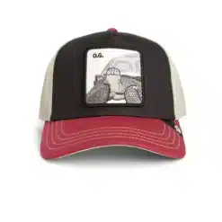 Goorin Bros Tricolor Tortoise trucker cap
